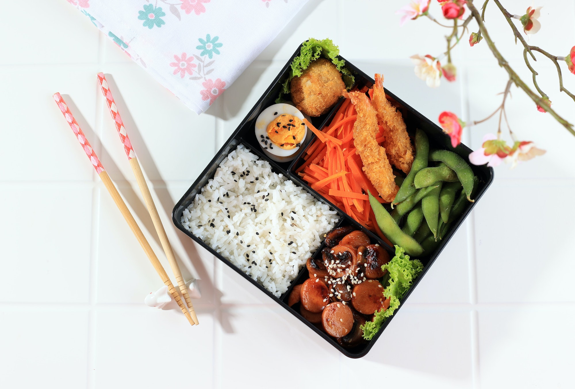 Japanese Bento Lunchbox
